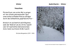 Neuschnee-Morgenstern.pdf